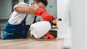 Best Commercial Pest Control  in Harkers Island, NC